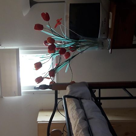 Palmita Hotel Hostel Oranjestad Ngoại thất bức ảnh