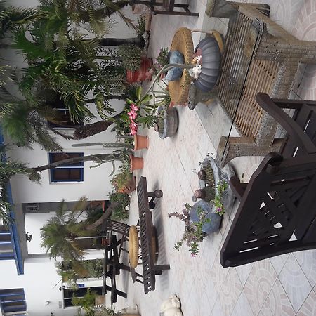 Palmita Hotel Hostel Oranjestad Ngoại thất bức ảnh