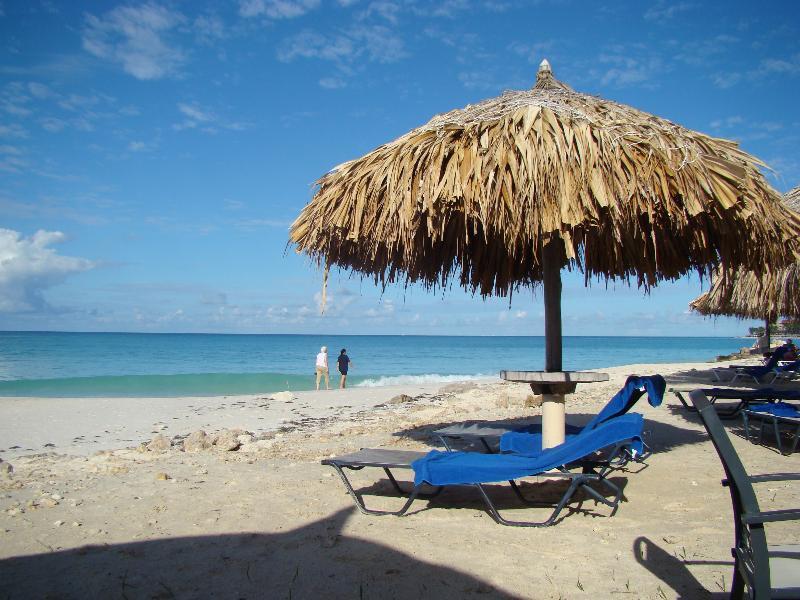 Palmita Hotel Hostel Oranjestad Ngoại thất bức ảnh