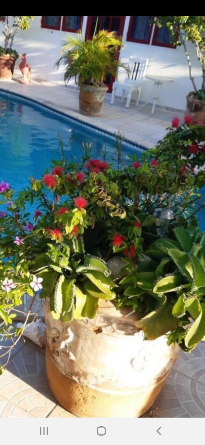 Palmita Hotel Hostel Oranjestad Ngoại thất bức ảnh