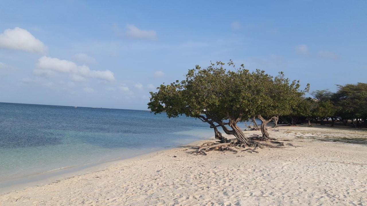 Palmita Hotel Hostel Oranjestad Ngoại thất bức ảnh