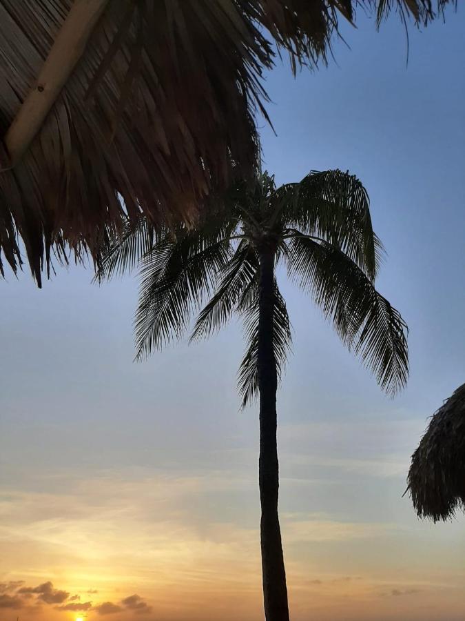 Palmita Hotel Hostel Oranjestad Ngoại thất bức ảnh