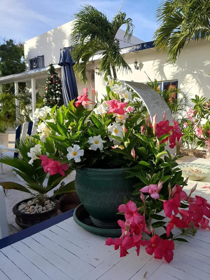 Palmita Hotel Hostel Oranjestad Ngoại thất bức ảnh
