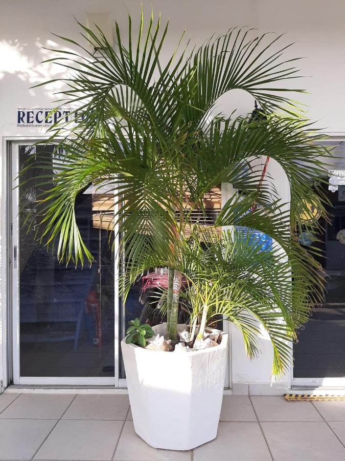 Palmita Hotel Hostel Oranjestad Ngoại thất bức ảnh
