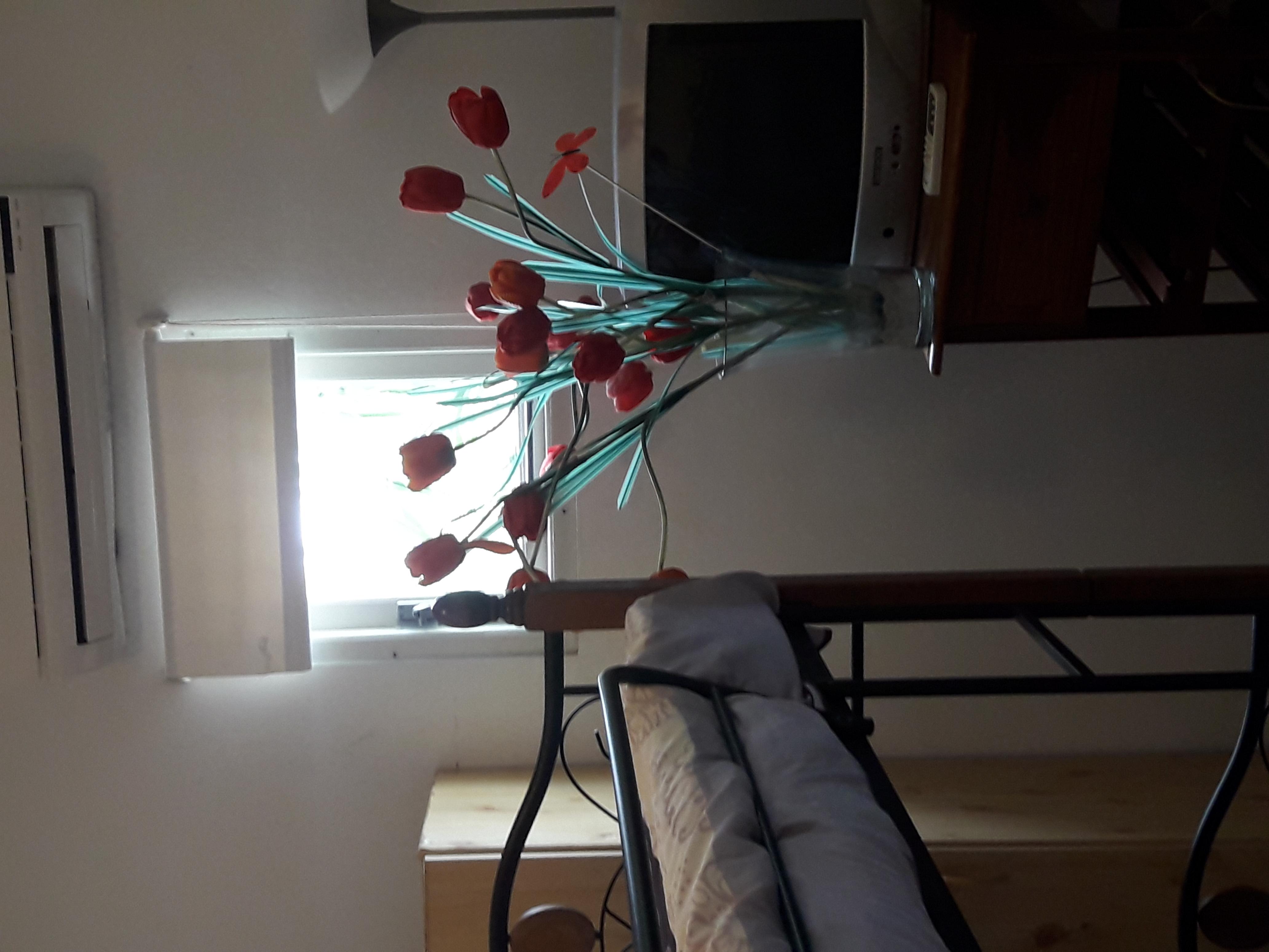 Palmita Hotel Hostel Oranjestad Ngoại thất bức ảnh