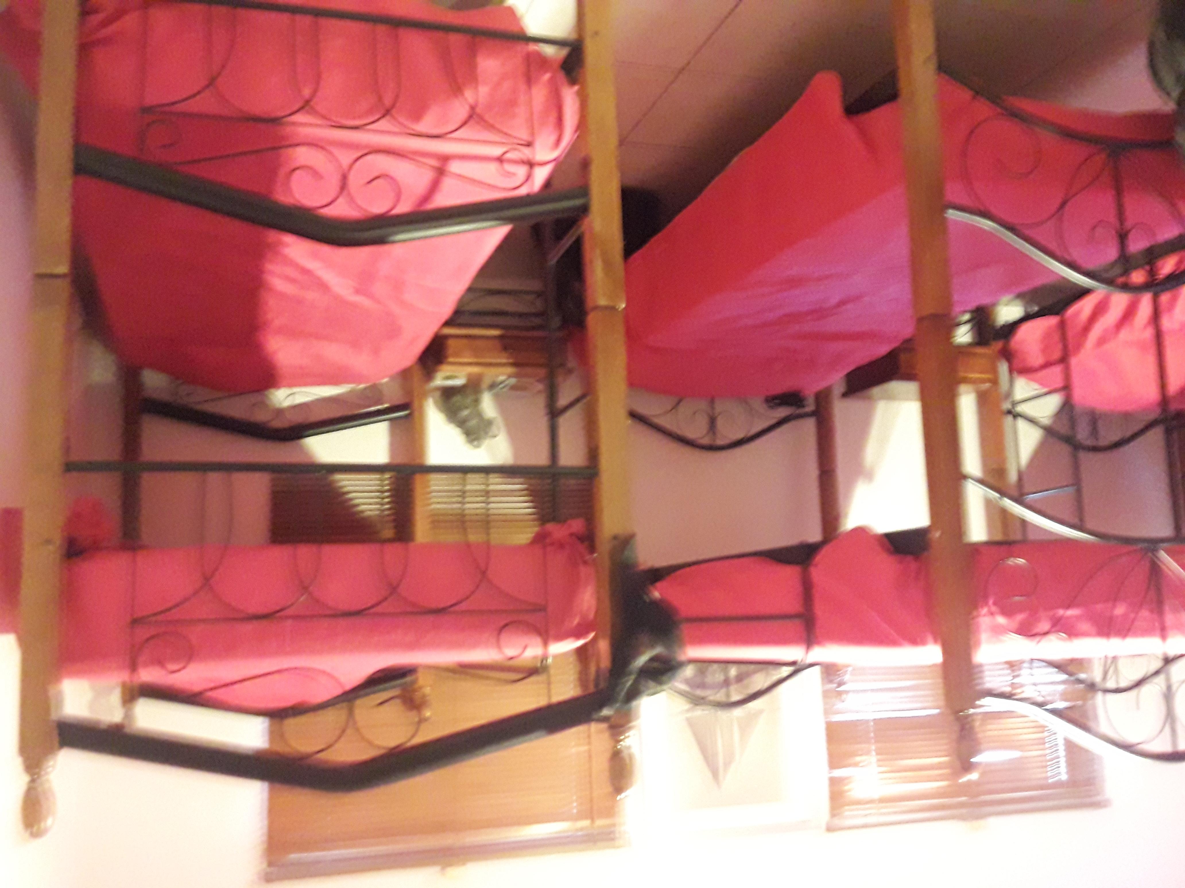 Palmita Hotel Hostel Oranjestad Ngoại thất bức ảnh