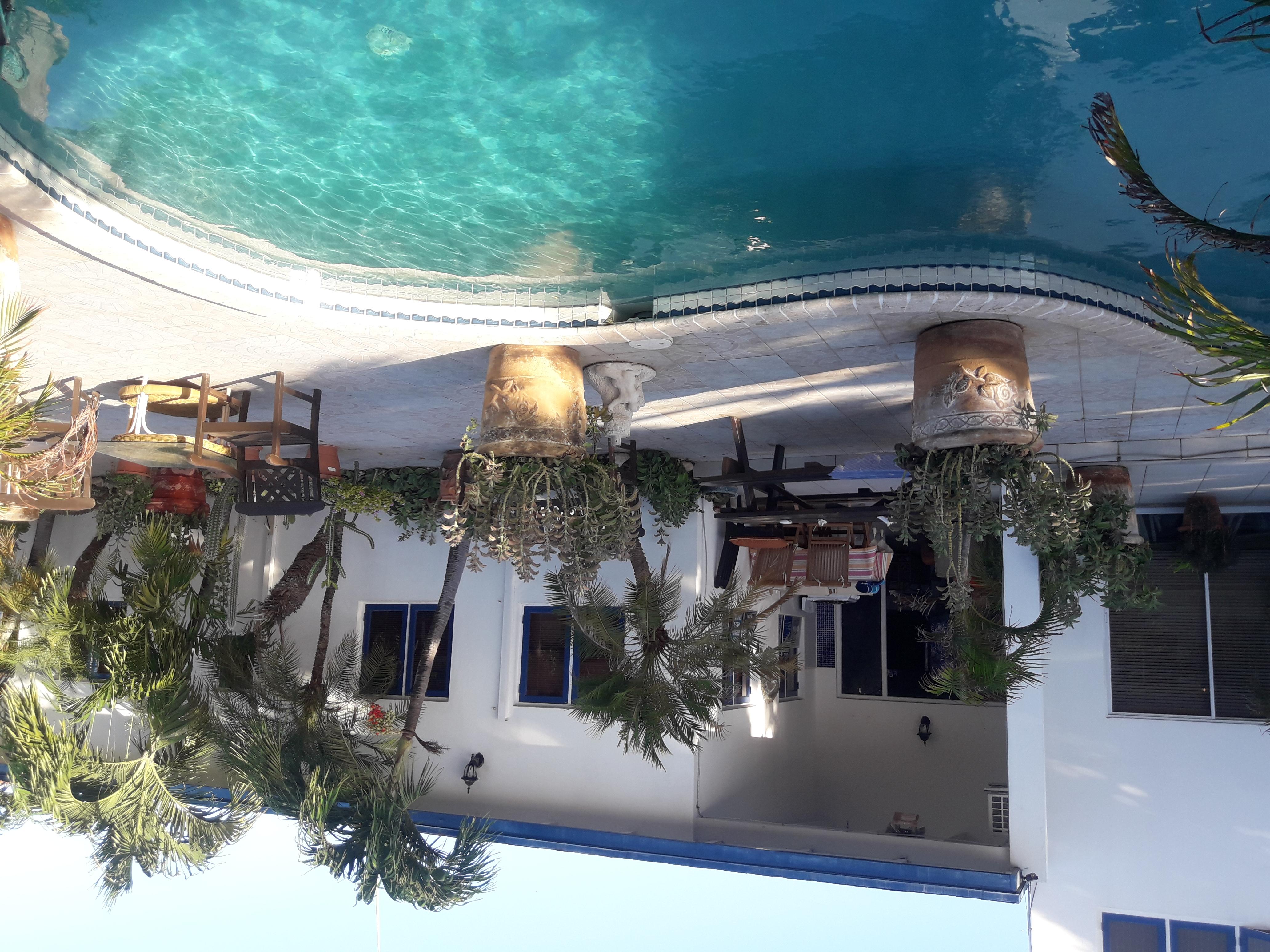 Palmita Hotel Hostel Oranjestad Ngoại thất bức ảnh