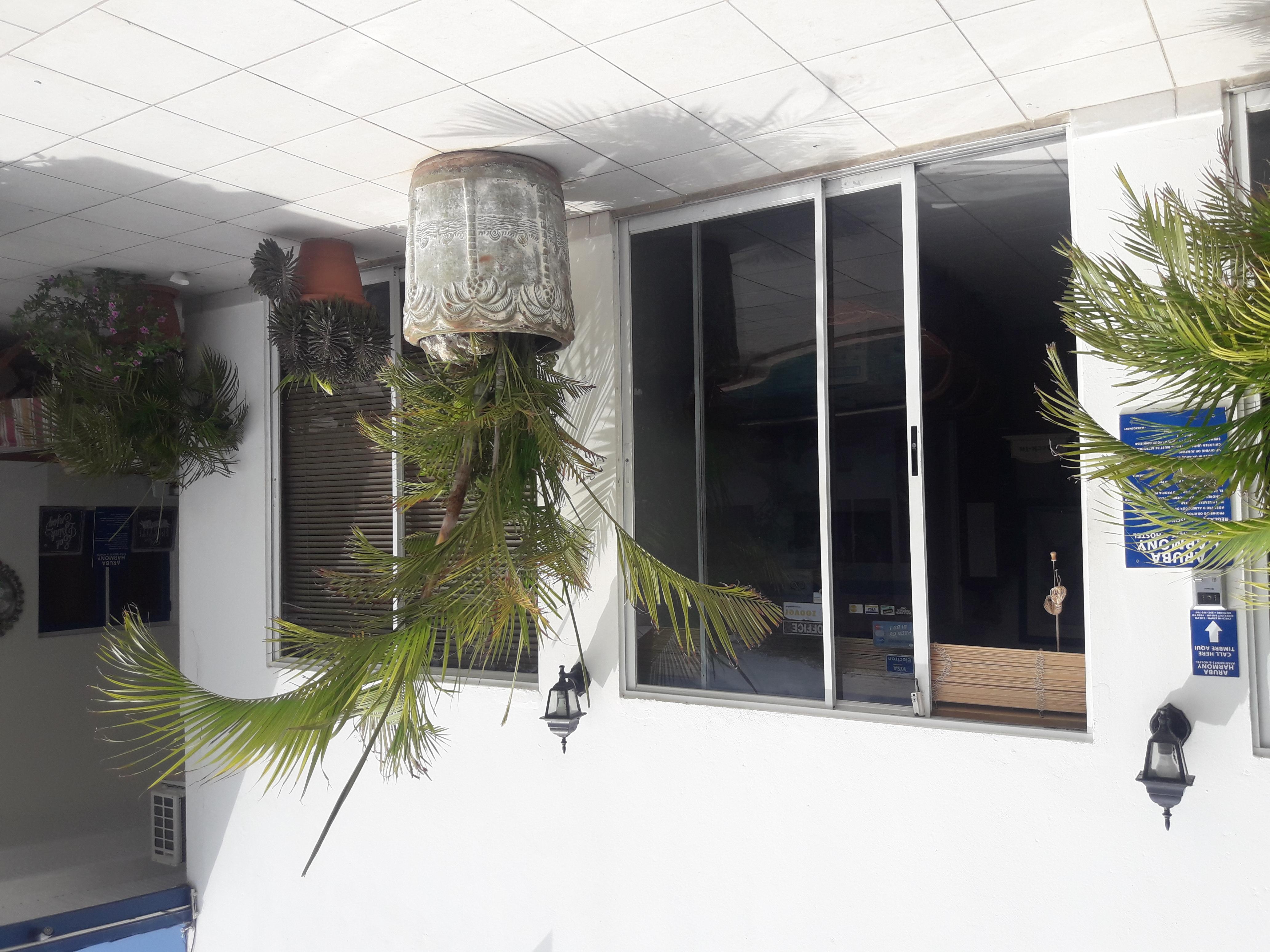 Palmita Hotel Hostel Oranjestad Ngoại thất bức ảnh