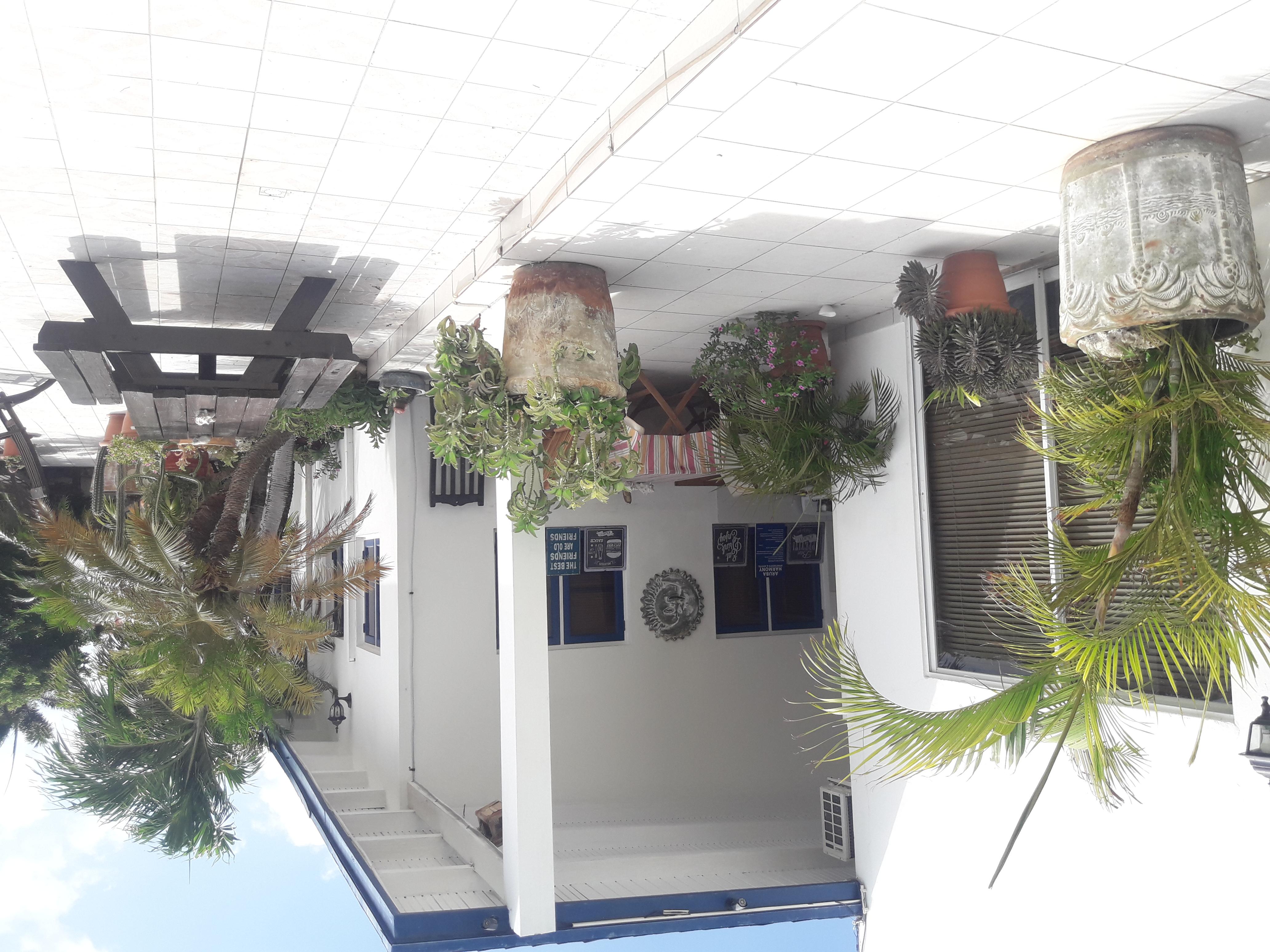 Palmita Hotel Hostel Oranjestad Ngoại thất bức ảnh