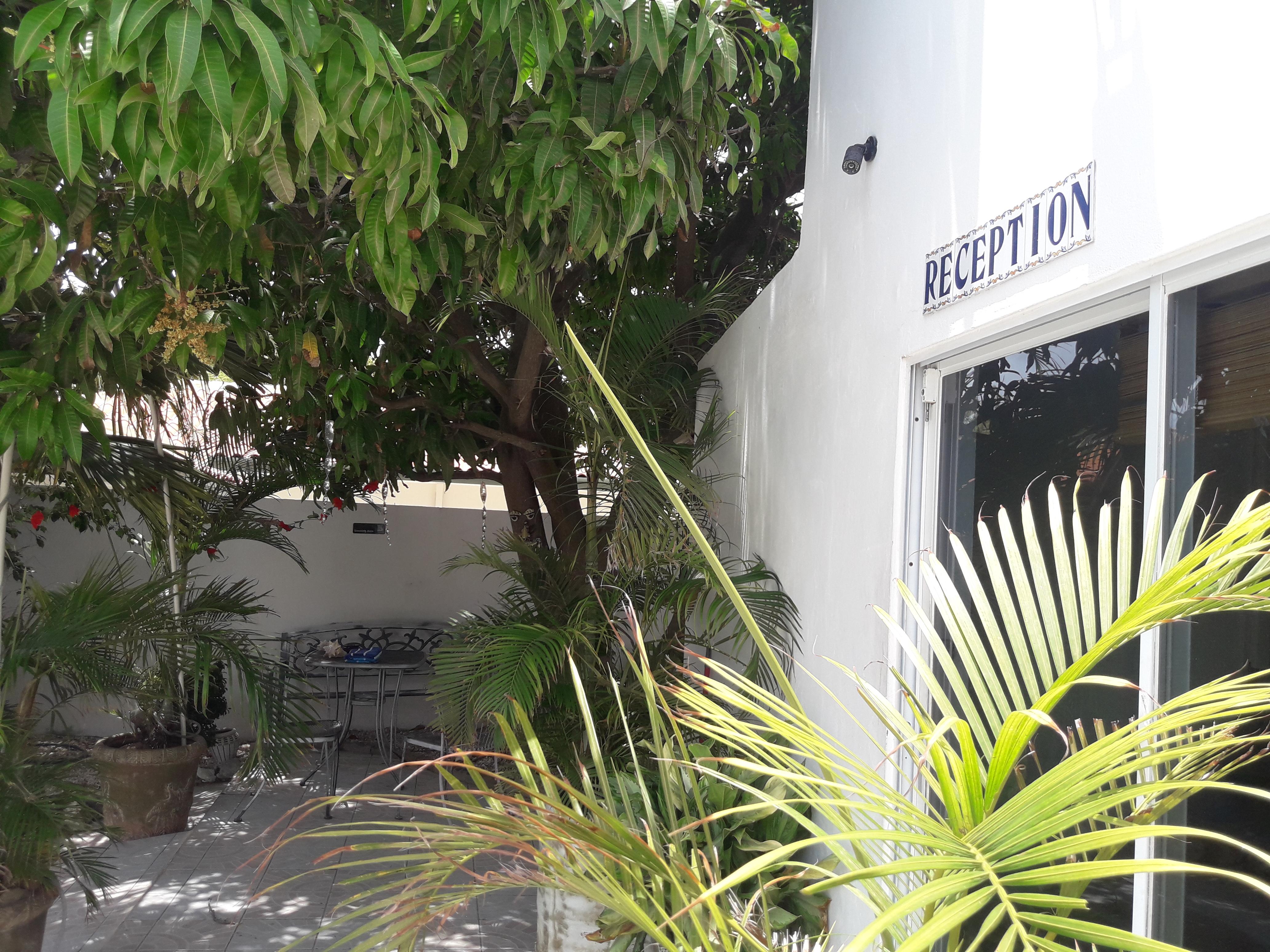 Palmita Hotel Hostel Oranjestad Ngoại thất bức ảnh