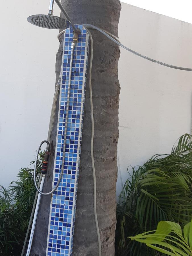 Palmita Hotel Hostel Oranjestad Ngoại thất bức ảnh