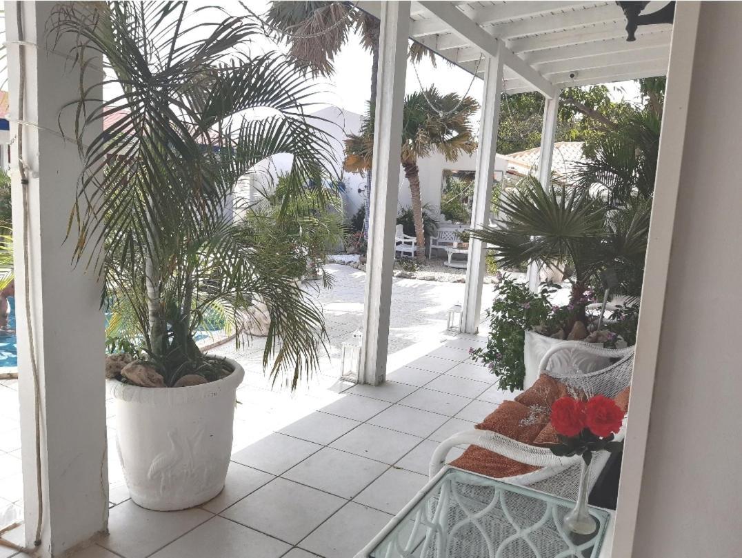 Palmita Hotel Hostel Oranjestad Ngoại thất bức ảnh